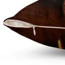 1 Cross 3 Nails 4 Given Pillow