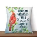 God Is My Salvation Isaiah 122 Bible Verse Pillow God Is My Salvation Isaiah 122 Bible Verse Pillow