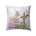 Jesus Because Of Him Heaven Knows My Name Christian Pillow