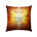 I Will Pour Out My Spirit On All People Acts 217 Bible Verse Pillow
