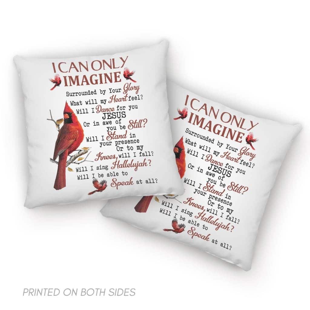 I Can Only Imagine Cardinal Christians Pillow