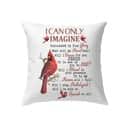 I Can Only Imagine Cardinal Christians Pillow I Can Only Imagine Cardinal Christians Pillow