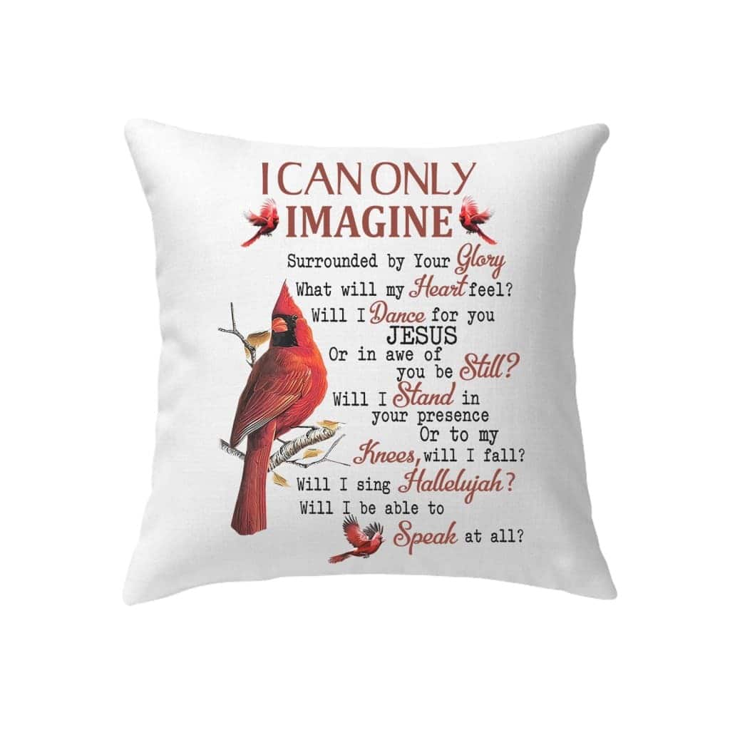 I Can Only Imagine Cardinal Christians Pillow