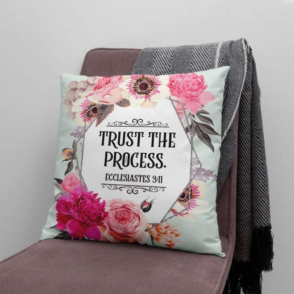 Trust The Process Ecclesiastes 311 Bible Verse Pillow Trust The Process Ecclesiastes 311 Bible Verse Pillow