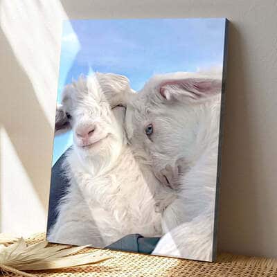 Christian Canvas Print Two Baby Lambs